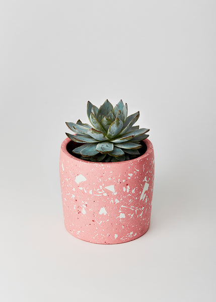 Pink and White Terrazzo Planter